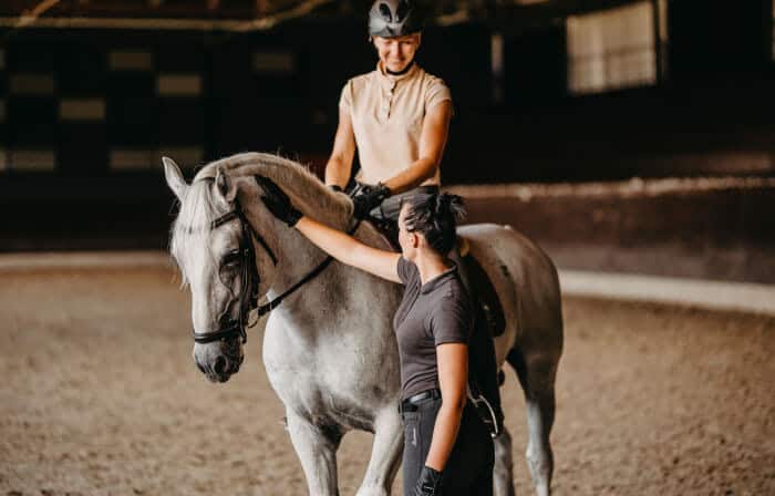 Dressage lessons