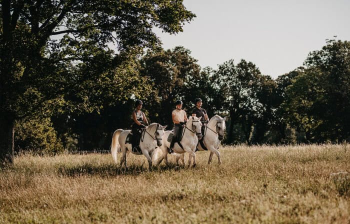 Trail riding