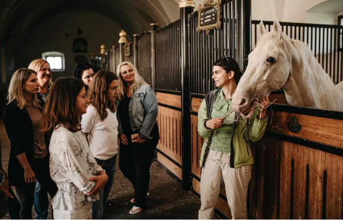 Visit to the Stud Farm