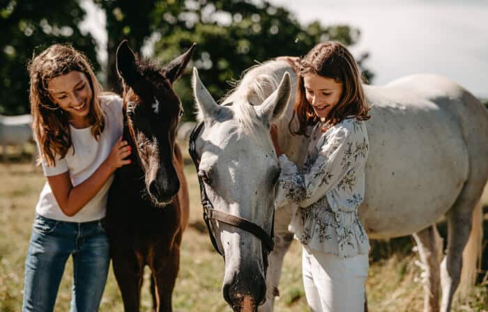 Contact with the horse