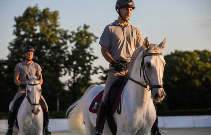 Official Training of the Lipica Riding School