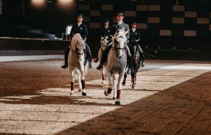A Show by the Lipica Riding School