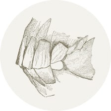 Z&auml;hne