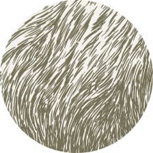 Haar