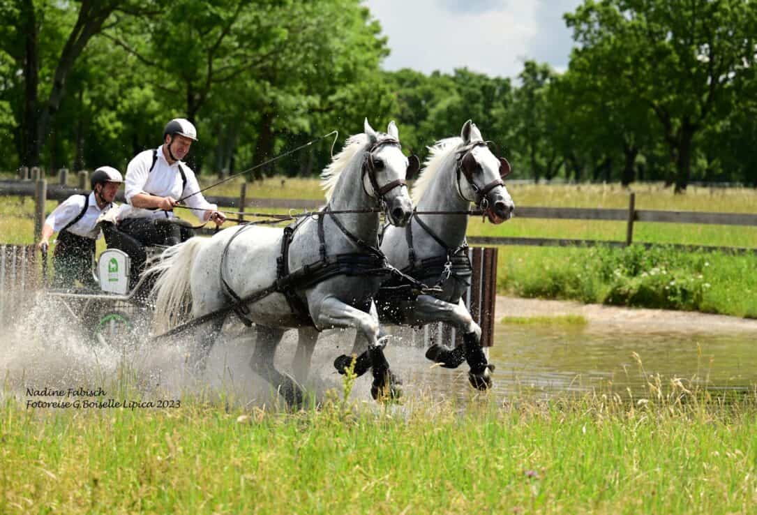 International Carriage Driving Competition