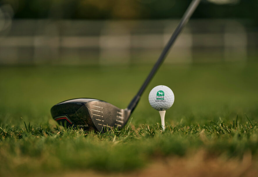 Professional golf instructor